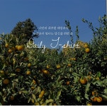 ♥ H O T P  I N G ♥ 쫀쫀폴라 겉기모긴팔티셔츠[44~99]