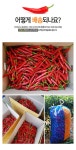 [더조은] 해남 홍고추 특품 10kg