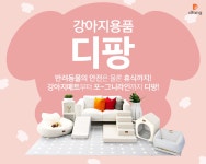 디팡 반려동물 안전용품 모음전 | 백화점을 클릭하다. AK 몰