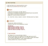 WIZWID:위즈위드 - [Ash:아쉬]아쉬 Nina 니나 우먼 스니커즈 2종 WIZWID