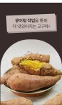 [더조은] 무농약 영암 고구마 5kg 못난이 [더조은] 무농약 영암 고구마 5kg  못난이