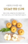 [더조은] 영암 신고배 가정용 7.5kg (9-11과)