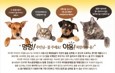 [아이디아] 마이펫 자동급식기 급수기 애완용품 인기모음전 :: 1300k 천삼백케이 [아이디아] 마이펫 자동급식기 급수기 애완용품 인기모음전