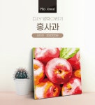 플레이어바웃 명화그리기 홍사과 20X20 | 주식회사 스윔어바웃 - 예스24