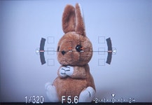 기글 하드웨어 디지털카메라 뉴스 게시판 - 사진으로 보는 소니α55