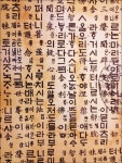 기글 하드웨어 사진 게시판 - 뿌리깊은나무 아닙니다 용비어천가가 제목입니다. ㅡㅡ