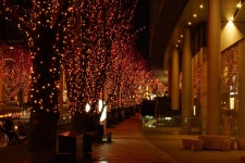 기글 하드웨어 사진 게시판 - A7R과 떠난 여행(2)