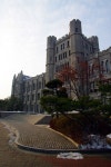 기글 하드웨어 사진 게시판 - 토요일 사진-고려대학교
