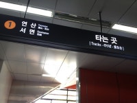 기글 하드웨어 사진 게시판 - 온천천을 가봤습니다.