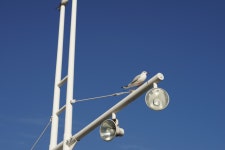 기글 하드웨어 사진 게시판 - A7R과 떠난 여행(3)