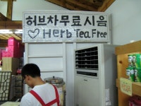 기글 하드웨어 사진 게시판 - 12일날 남이섬 다녀왔어요.