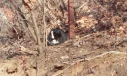 기글 하드웨어 사진 게시판 - 산 타고 왔어요