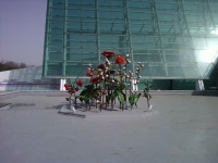 기글 하드웨어 사진 게시판 - 화랑유원지