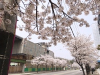 기글 하드웨어 사진 게시판 - 사진은 보정보다 찍는게 중요합니다