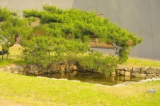 기글 하드웨어 사진 게시판 - D300으로 기변