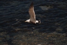 기글 하드웨어 사진 게시판 - 2012.03.11 출사 사진