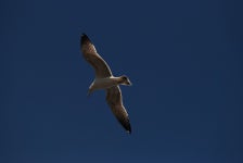 기글 하드웨어 사진 게시판 - 2012.03.11 출사 사진