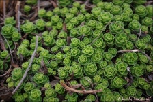 기글 하드웨어 사진 게시판 - 순천에 다녀 왔습니다 (*´˘`*)♪ (下) [스압주의]
