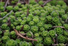 기글 하드웨어 사진 게시판 - 순천에 다녀 왔습니다 (*´˘`*)♪ (下) [스압주의]