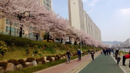 기글 하드웨어 사진 게시판 - 금일 온천천 산책