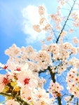 기글 하드웨어 커뮤니티 게시판 - 보정놀이 - 사진을 보정해보자