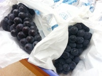 기글 하드웨어 커뮤니티 게시판 - 렙제한 던전등산로) 직접 가꾼 송산포도 팝니당