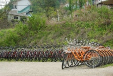 기글 하드웨어 사진 게시판 - 강촌