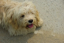 기글 하드웨어 사진 게시판 - 강촌