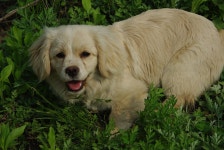 기글 하드웨어 사진 게시판 - 강촌