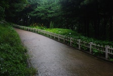 기글 하드웨어 사진 게시판 - 우장산