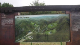 올 가을 삼림욕과 함께 역사도 공부할 수 있는 `파주 삼릉`  | 경기도뉴스포털 올 가을 삼림욕과 함께 역사도 공부할 수 있는 `파주 삼릉` 