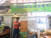 당신도 도시 양봉업자가 될 수 있다 | 경기도뉴스포털 당신도 도시 양봉업자가 될 수 있다