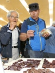 “돈 되는 미래산업, 곤충산업 날개 활짝！”