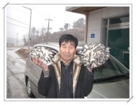 양평군 > 참여마당 > 자유게시판