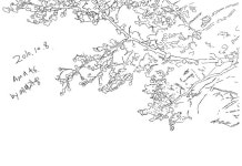 바람놀이터 - 난 언제나 나무 그림만 그리고 이치. > 자유그리기 | 바람놀이터 (바람의나라) 바람놀이터 (바람의나라)