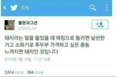 바람놀이터 - 자신이 돼지인지 확인하는 방법 > 유머/연예 | 바람놀이터 (바람의나라) 바람놀이터 (바람의나라)