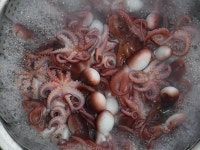 바다사랑닷컴