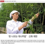 Weekly 공감 <제33호>수출 성공시대 여는 담양 댓잎차