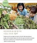 공감 파릇파릇한 봄나물 향기에 시장도 기지개  “활짝”