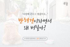 Weekly 공감 반려견분양서비스 숨탄