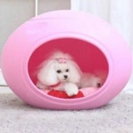 생활용품 모든G도매 modngdome.com에 오신걸 환영합니다! pet 모던하우스 (핑크) 애견하우스 강아지하우스 애견집 강아지집 강아지용품