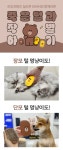 POOM | 라인프렌즈 코코시루 펫 실리콘 브러쉬 CL13SB 라인프렌즈 코코시루 펫 실리콘 브러쉬 CL13SB