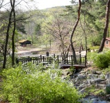 > What is the Healing Forest? | Seoul Grand Park