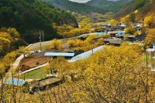 출석부 - 그래비티 출석부