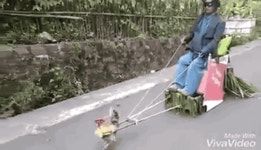 출석부 - 푸쉬킨 출석부