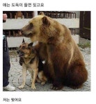 게시판 - 파도타는