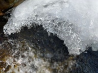 게시판 - 당당하개 출석부