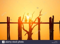 Human Bein Stock Photos & Human Bein Stock Images - Alamy