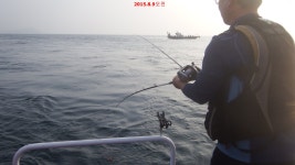 바다낚시 > 점주선장조황 > 부산바다낚시 해동호 주말조황~!! 부산바다낚시 해동호 주말조황