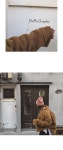 [보모드 -pt]